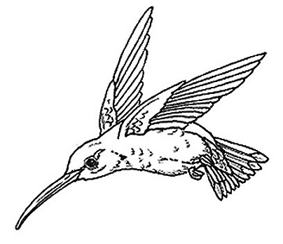 Hummingbird Image A Silhouette Free Download Clipart