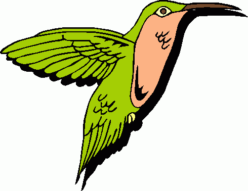 Hummingbird Clipart Clipart