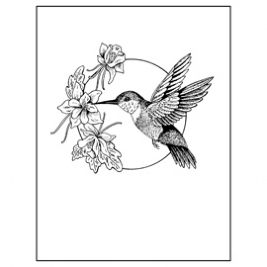 Hummingbird Image A Purple And Transparent Image Clipart