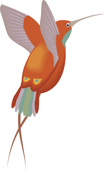 Hummingbird To Use Free Download Clipart