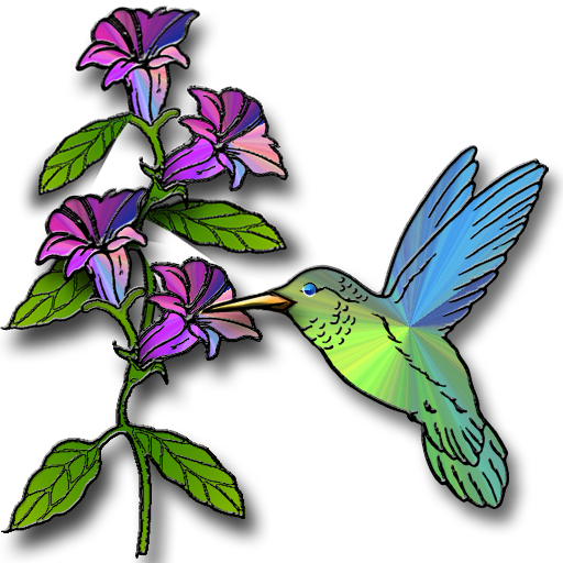 Hummingbird Hd Photos Clipart