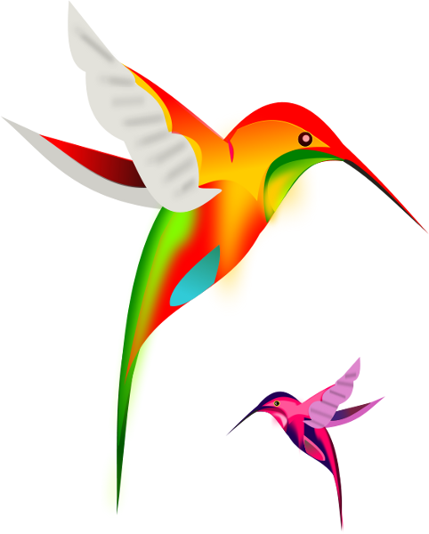 Hummingbird Images Png Images Clipart
