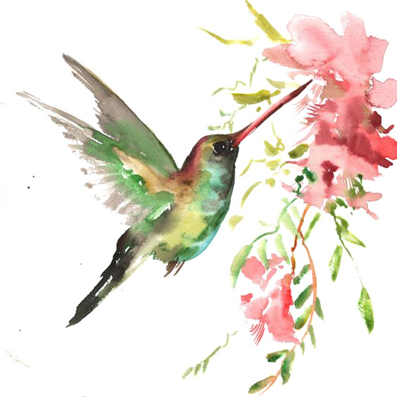 Watercolor Bird Download HQ PNG Clipart