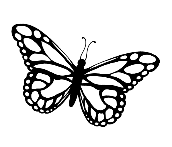 Insect On Behance Png Image Clipart