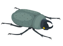 Free Insect Pictures Graphics Illustrations Clipart Clipart