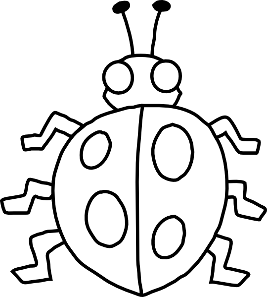 Insect Black And White Images Clipart Clipart
