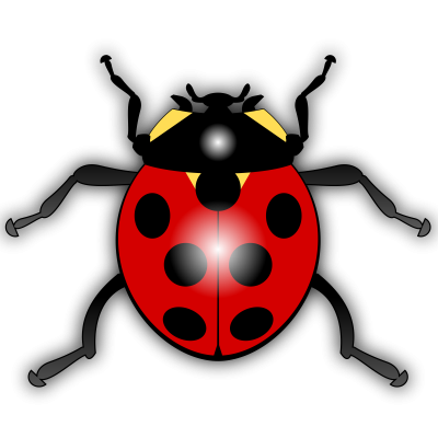 Insects Image Hd Image Clipart
