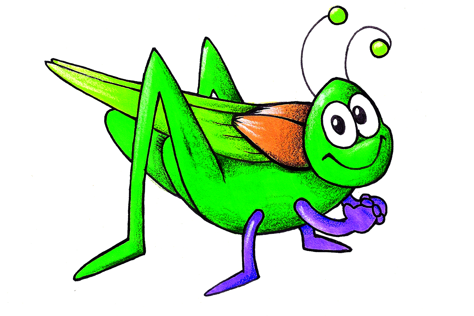 Insect Cricket Bug Image Transparent Image Clipart
