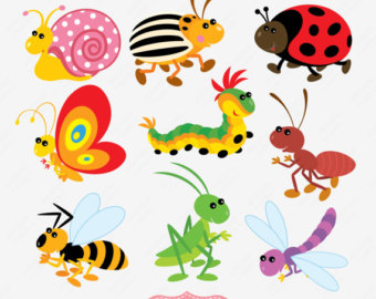 Insect Images Image Png Clipart