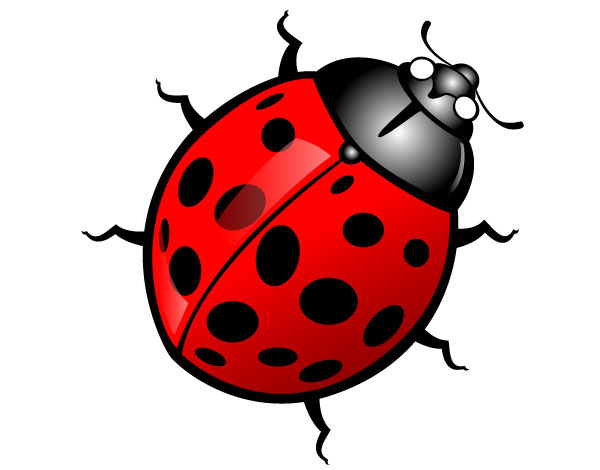 Insect Images Image Png Clipart