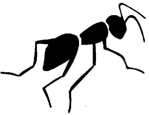 Insect Black And White Images Png Image Clipart