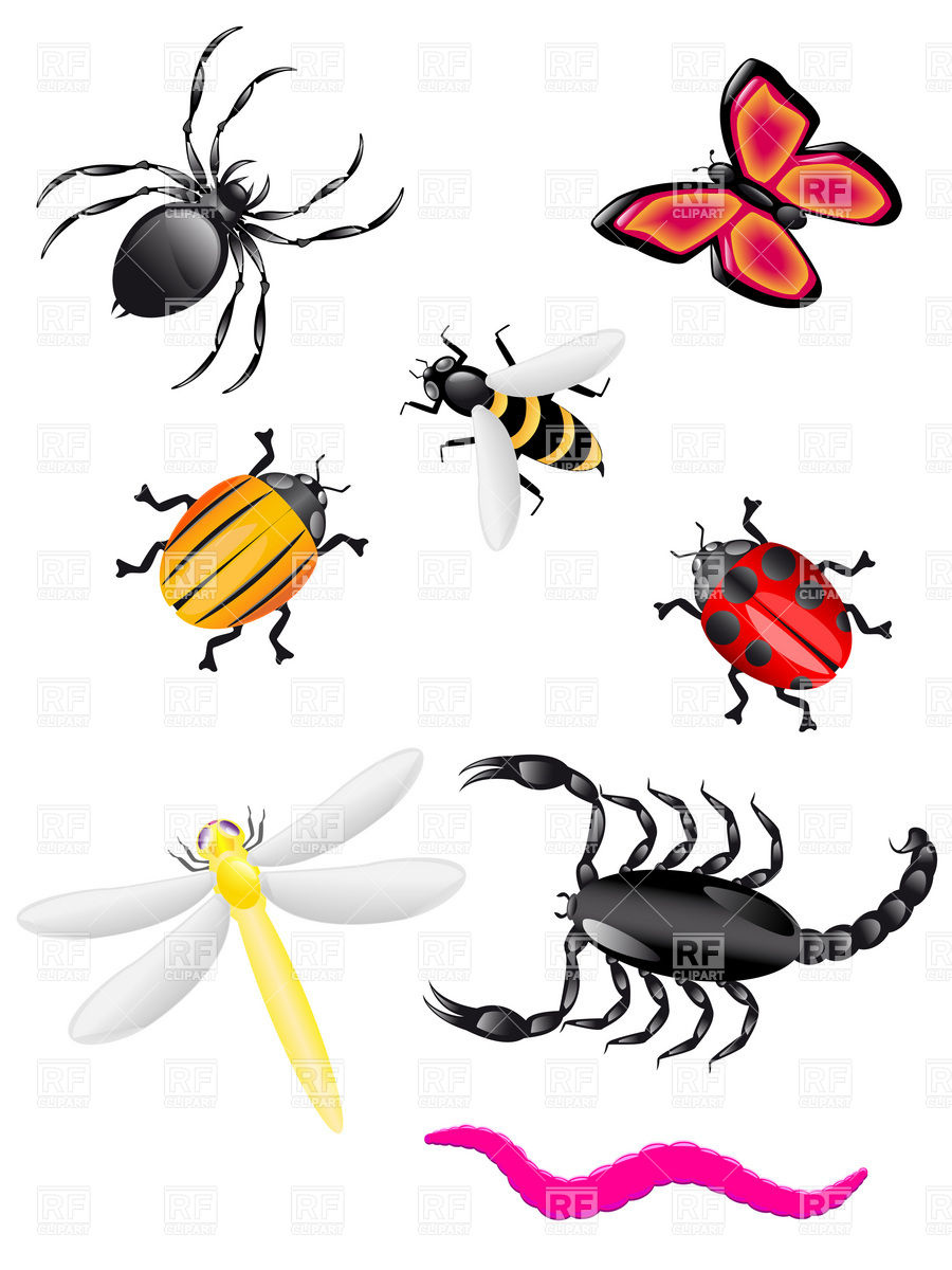 Bugs And Insects Kid Free Download Clipart