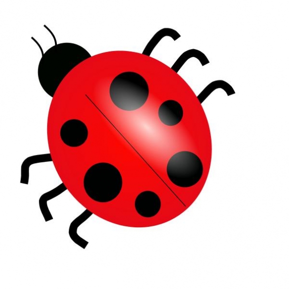 Bugs And Insects Kid Download Png Clipart
