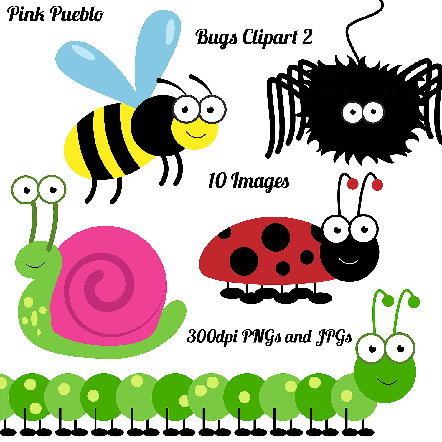 Insects And Cricket On Hd Image Clipart