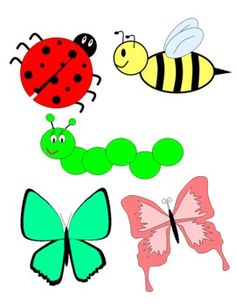 Images About Insectes On Insects And Clipart