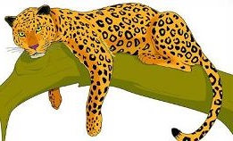 Free Jaguar Png Images Clipart