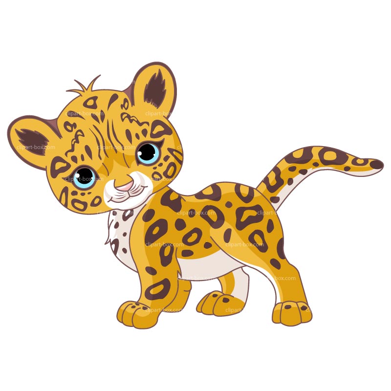 Cute Baby Jaguar Animal From The Clipart