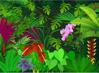 Clip Art Jungle Flowers Join Us At Clipart