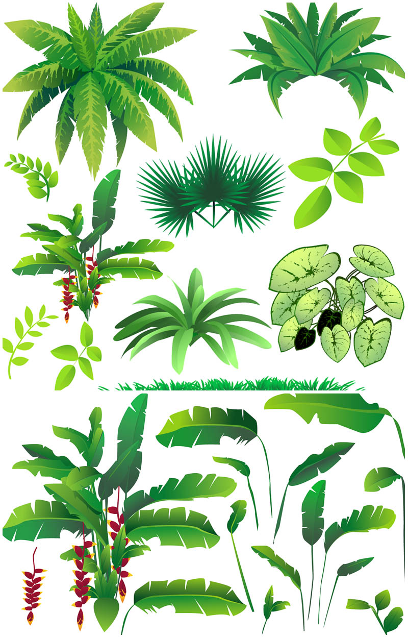 Jungle Plants Clipart Clipart