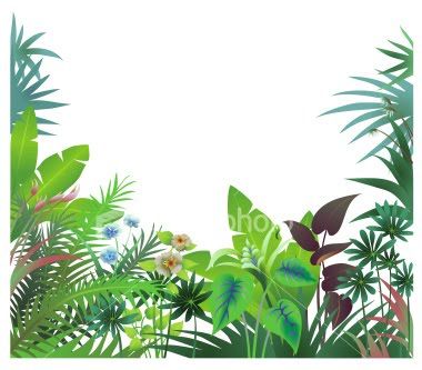 Jungle Trees Tropical Rainforest Cartoon Border Clipart