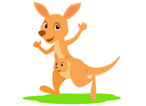 Search Results For Kangaroo Pictures Graphics Clipart