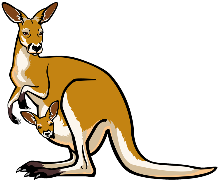 Clip Art Kangaroo Images Free Download Png Clipart