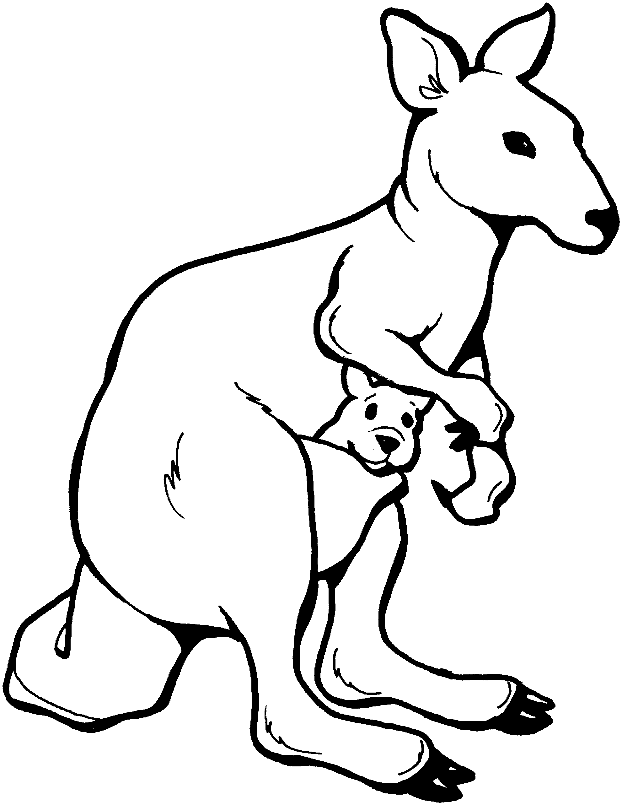Kangaroo Black And White Images 2 Wikiclipart Clipart
