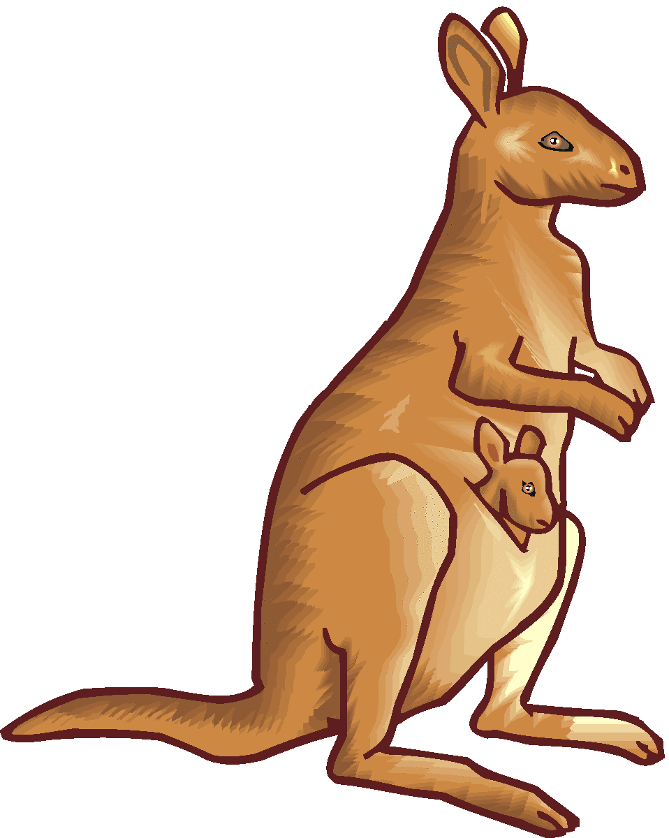 Kangaroo Images Free Download Png Clipart