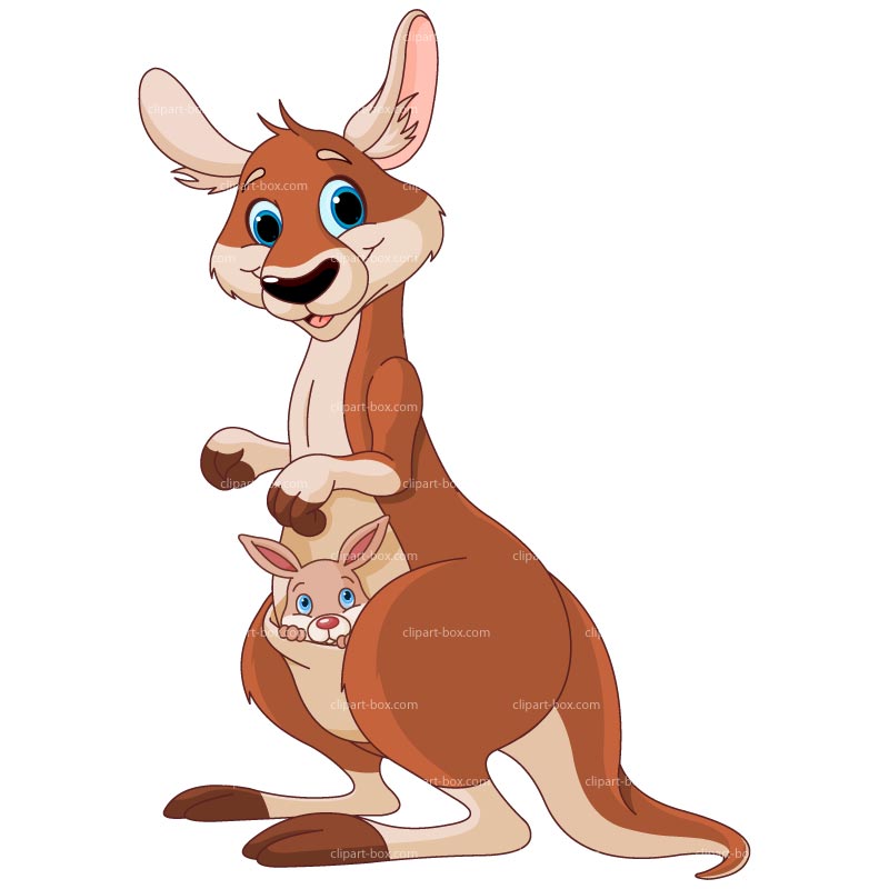 Kangaroo Download Hd Photos Clipart