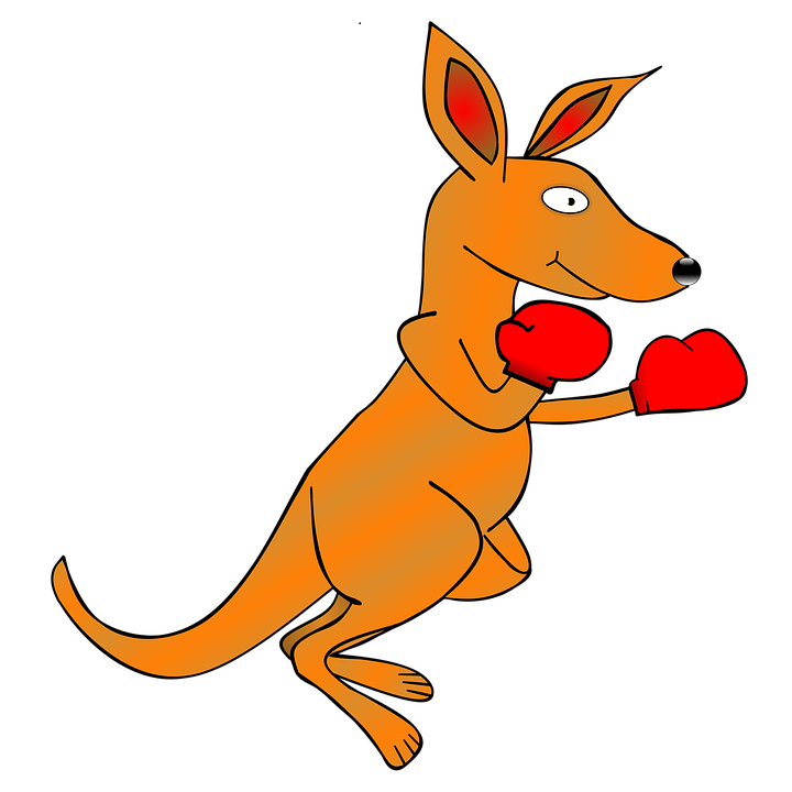 Free Illustration Kangaroo Ing Gloves Image Clipart