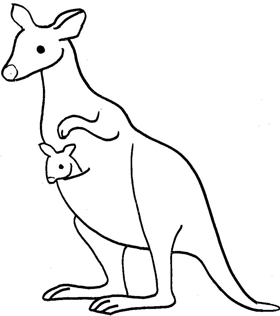 Kangaroo Drawing Images Png Image Clipart