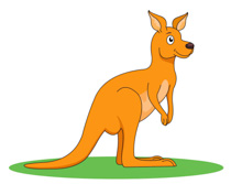 Free Kangaroo Pictures Graphics Illustrations Download Png Clipart