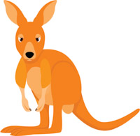 Free Kangaroo Pictures Graphics Illustrations Transparent Image Clipart