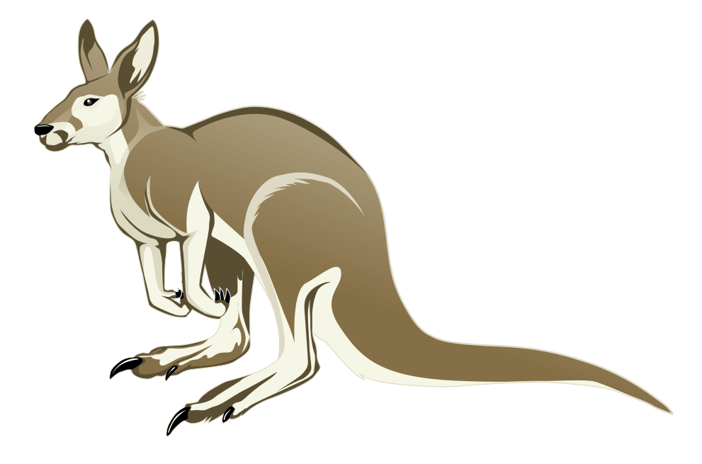 Kangaroo To Use Png Image Clipart