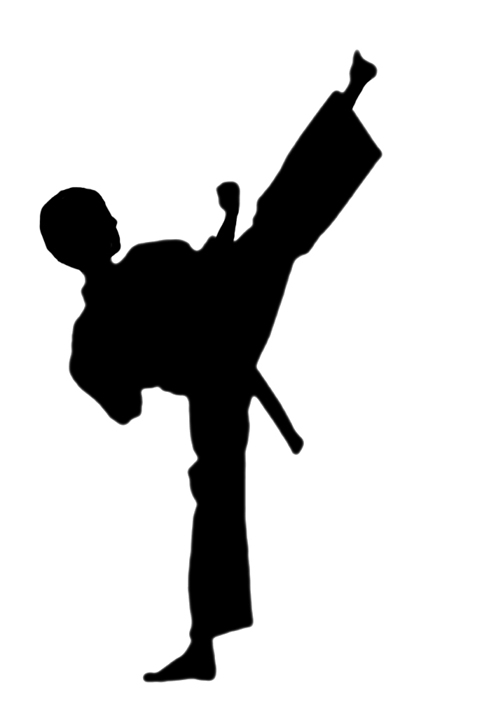 Female Karate Kid Free Download Clipart