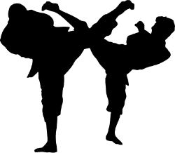Karate Figures Kid Png Image Clipart