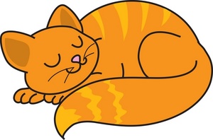 Fat Cat Cute Orange Kitten Cats Image Clipart