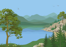 Landscape With Trees And Mountain Lake Illustration Clipart