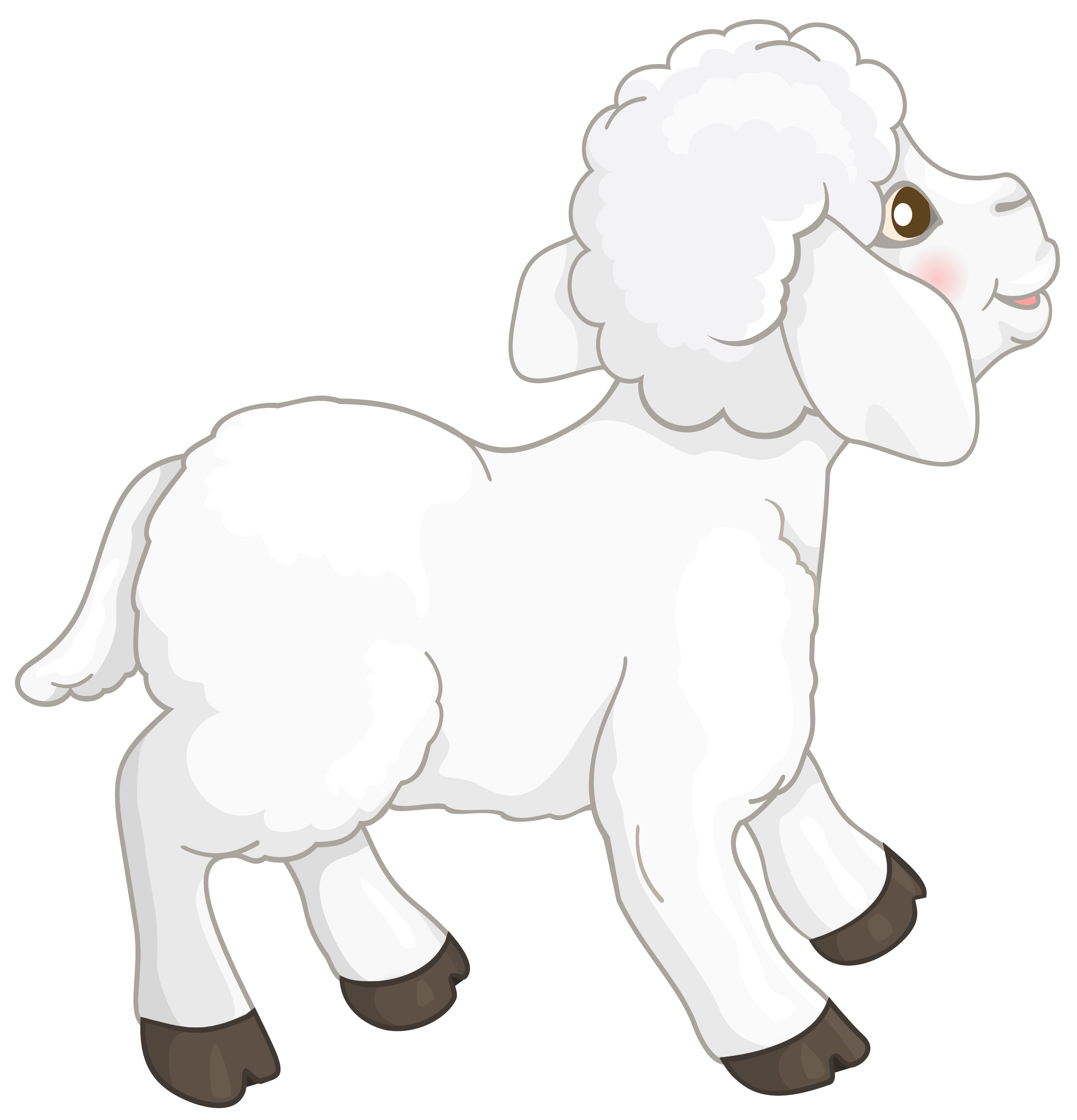 Transparent White Lamb Picture Free Download Png Clipart