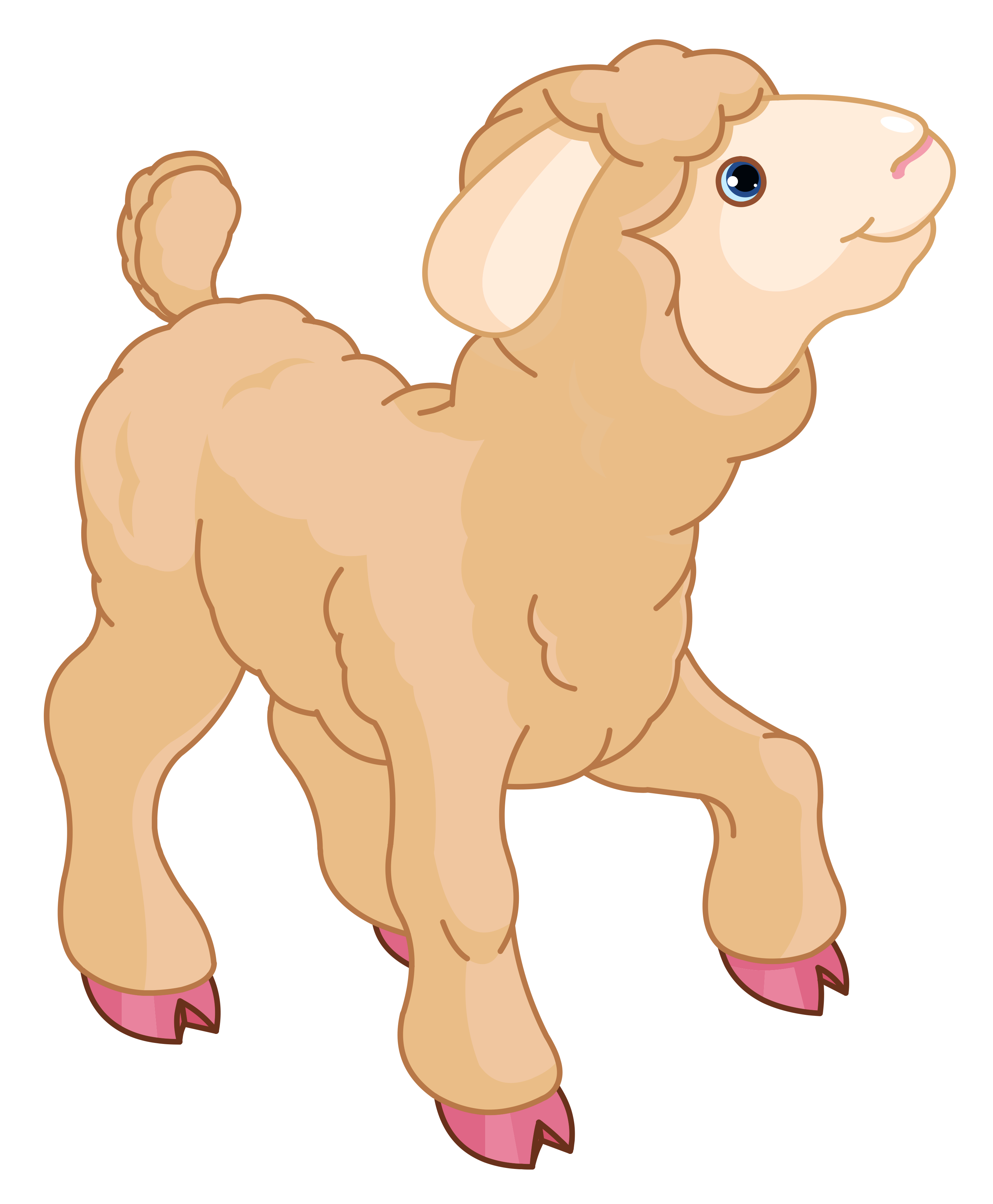 Little Lamb Kid Free Download Png Clipart
