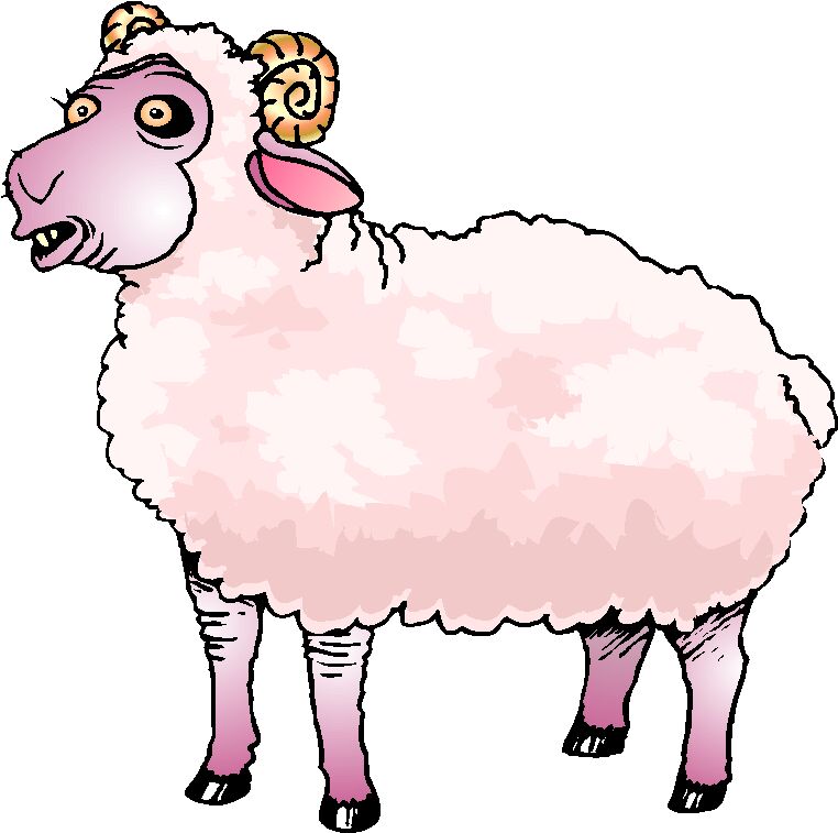 Sheep Lamb Black And White Images Image Clipart