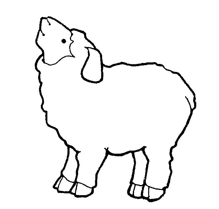 Sheep Lamb 3 Image Clipart Clipart