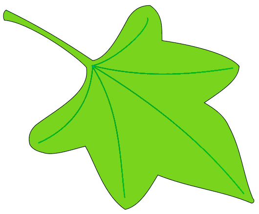 Leaf Leaves Vector Image Hd Photo Clipart