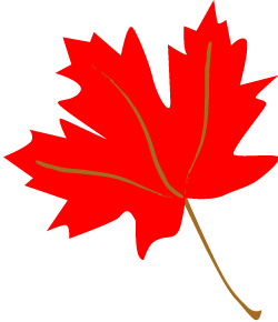 Leaf Fall Maple Leaves Dromgce Top Clipart