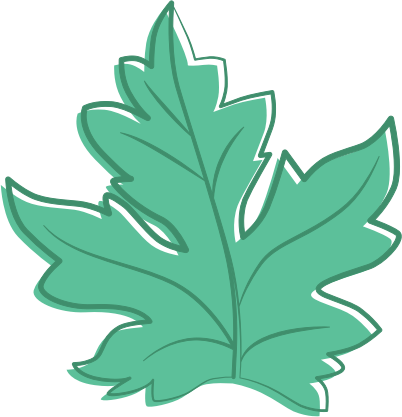 Leaf To Use Hd Photo Clipart
