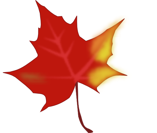 Leaf Fall Autumn Leaves Download Png Clipart
