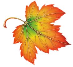 Leaf Fall Leaves Hd Image Clipart