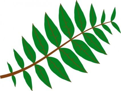 Clipart Leaf Image Free Download Png Clipart