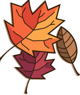 Leaf November Leaves Png Image Clipart