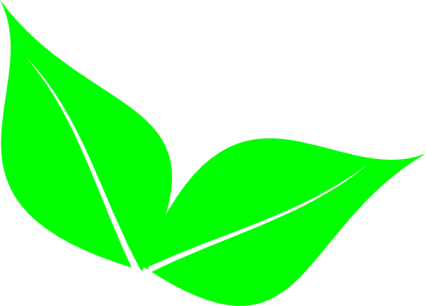 Two Leaf Clipart Clipart